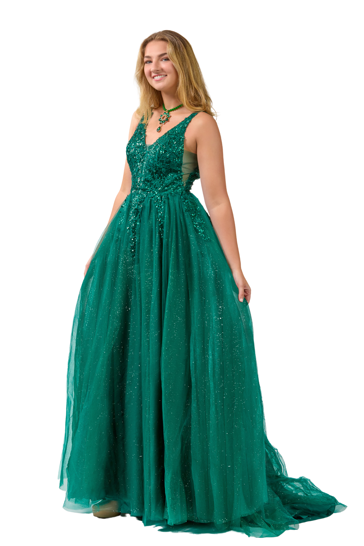 A-line Embroidered Sequined Tulle Dress- SV24015