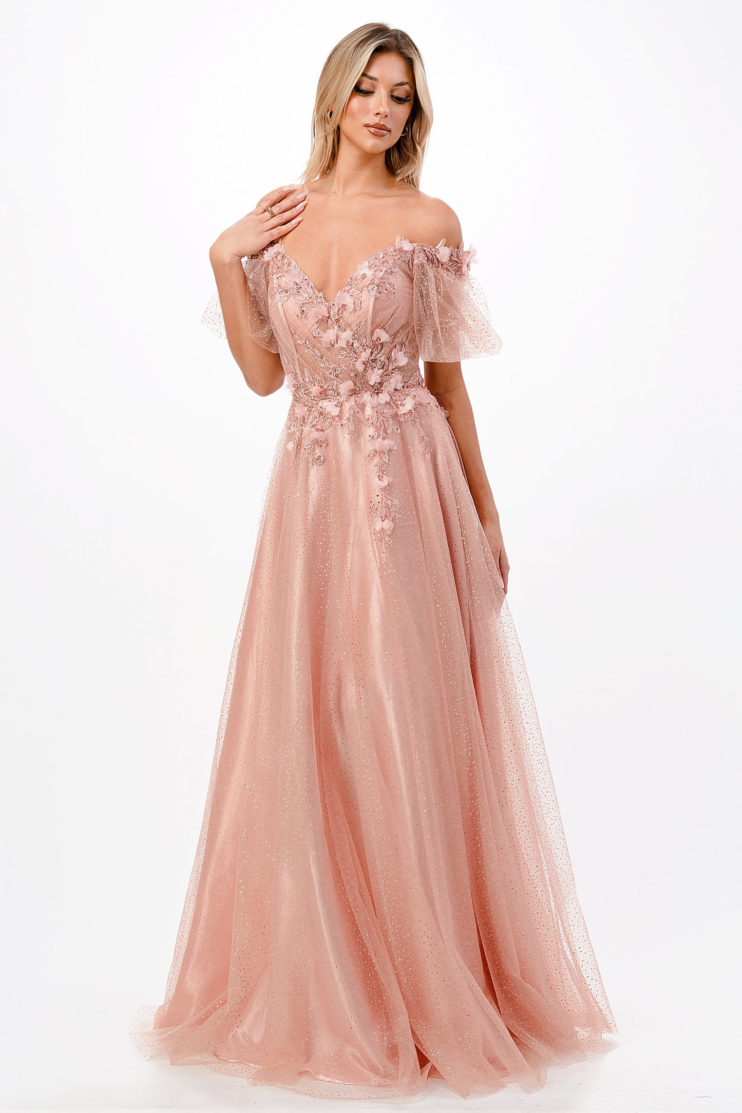 3D Floral Applique Whimsical Tulle Gown CD0197