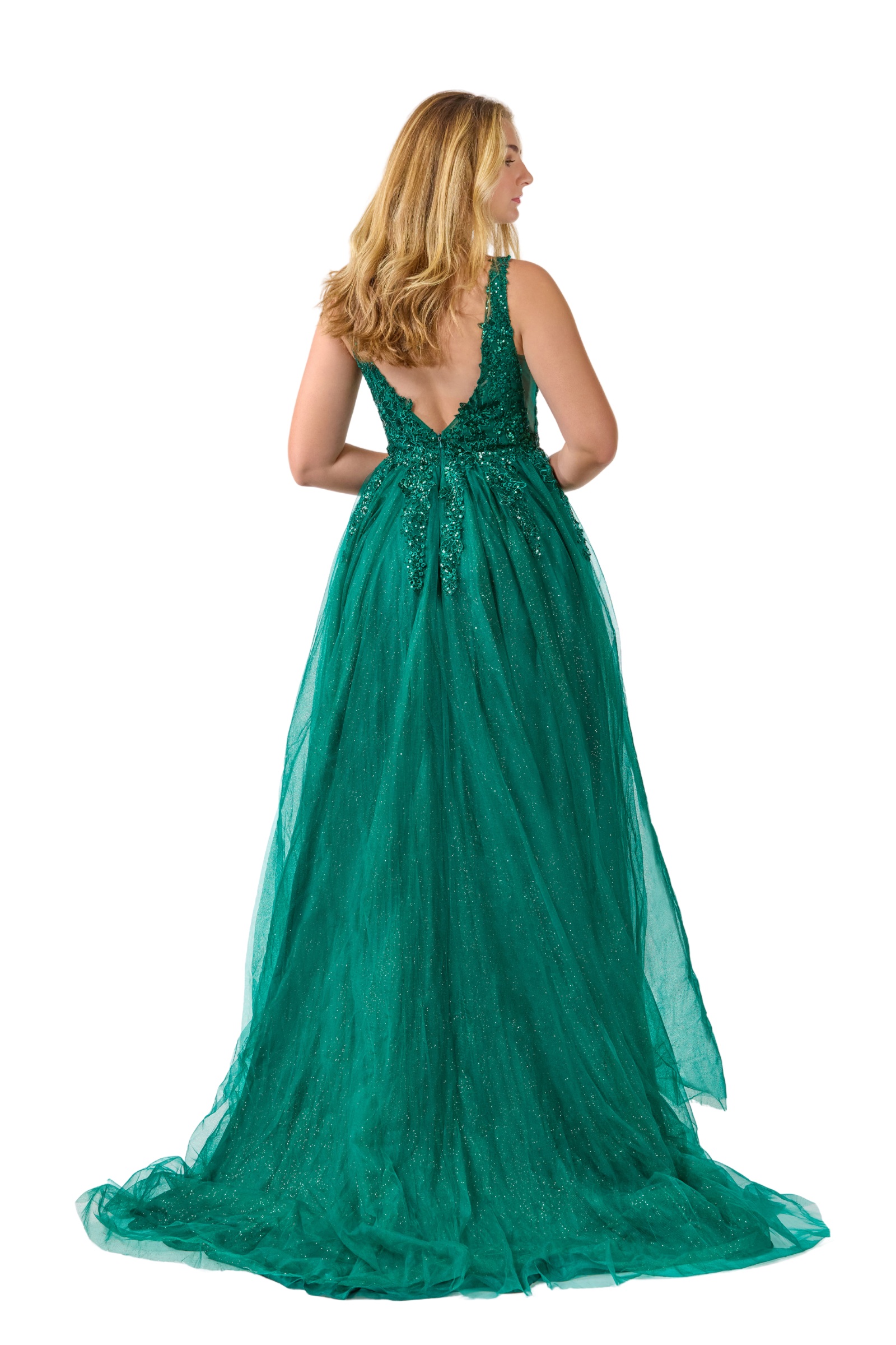 A-line Embroidered Sequined Tulle Dress-  SV24015