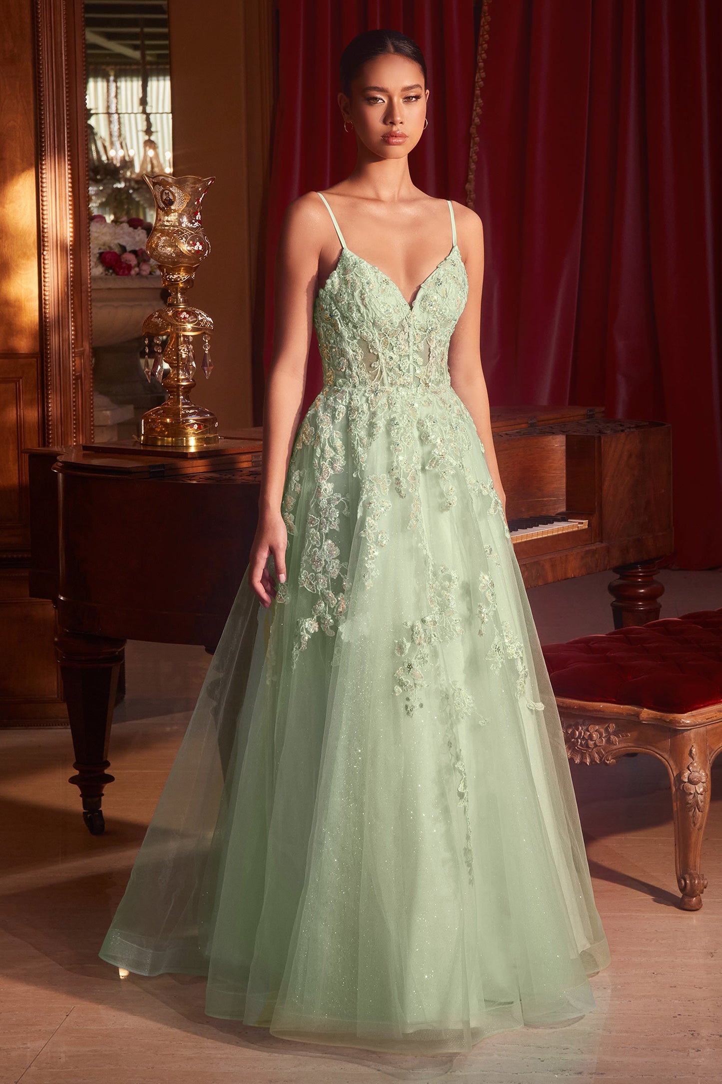 CDfloral-applique-v-neck-ball-gown-cm347