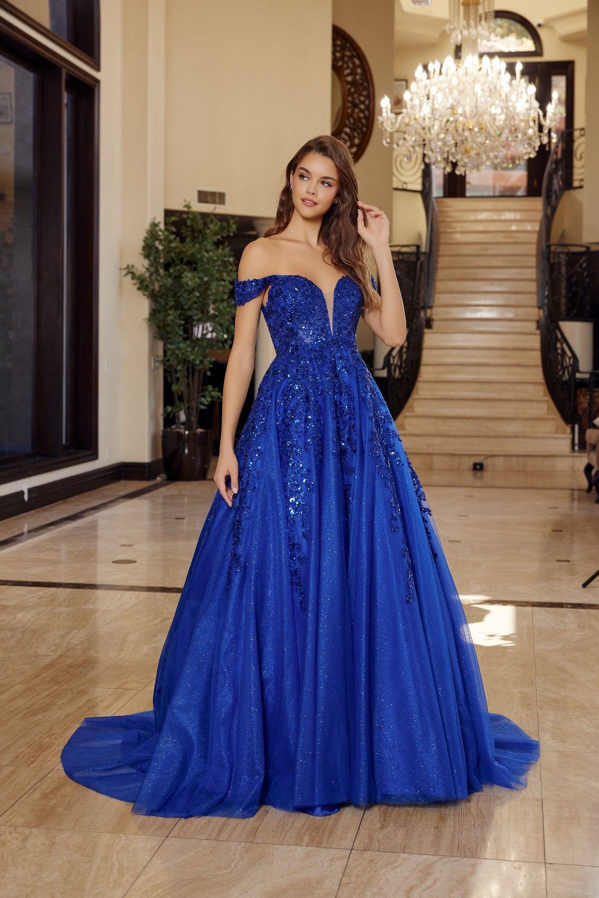 H1881 Plunging V Neckline A-Line Gown with a Sheer Boned Waistline