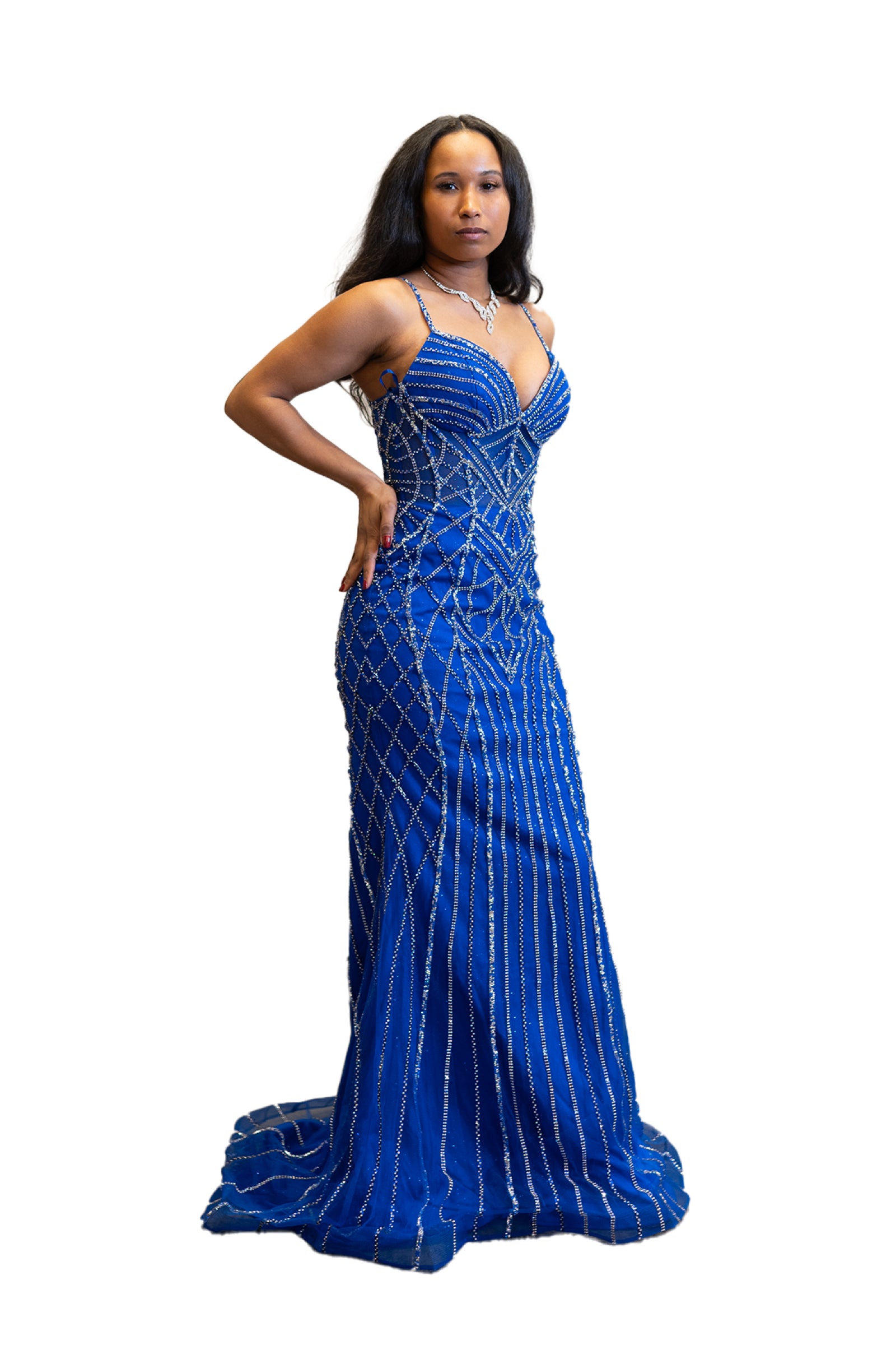 Long Fitted Embellished Dress SV24229