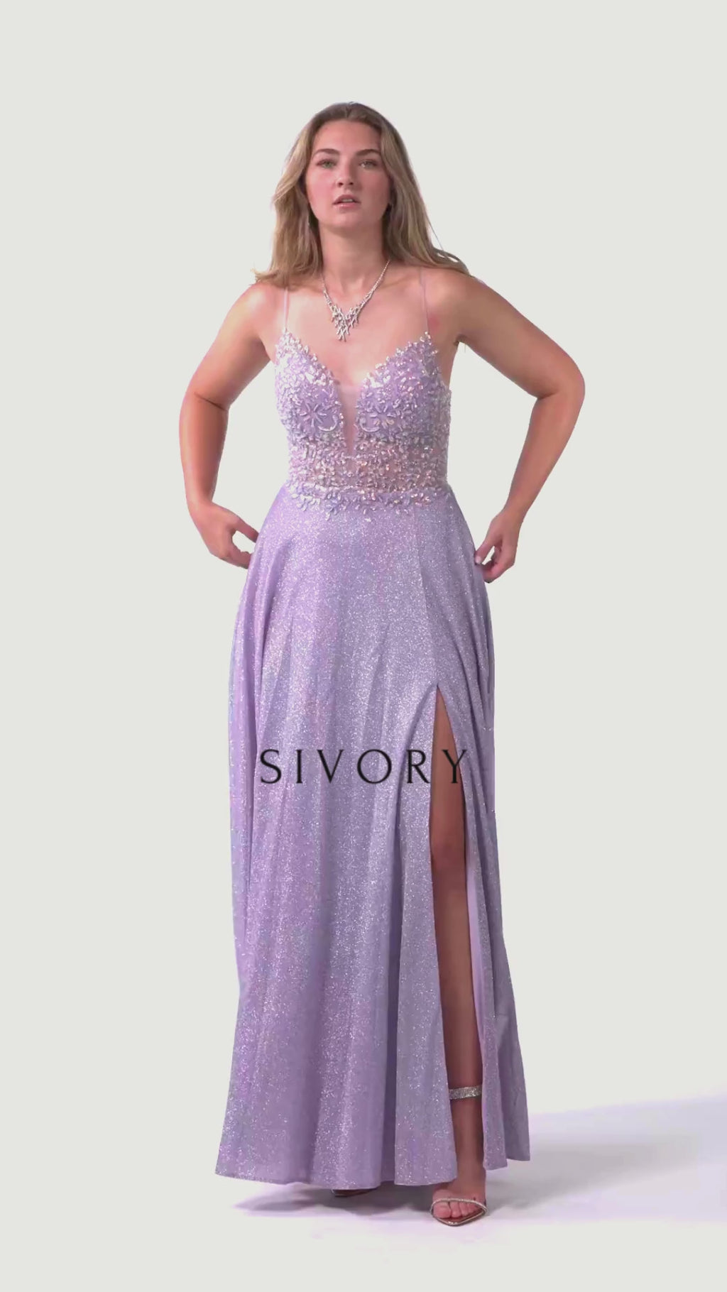 Glitter Embroidered A-line Dress - SV24056