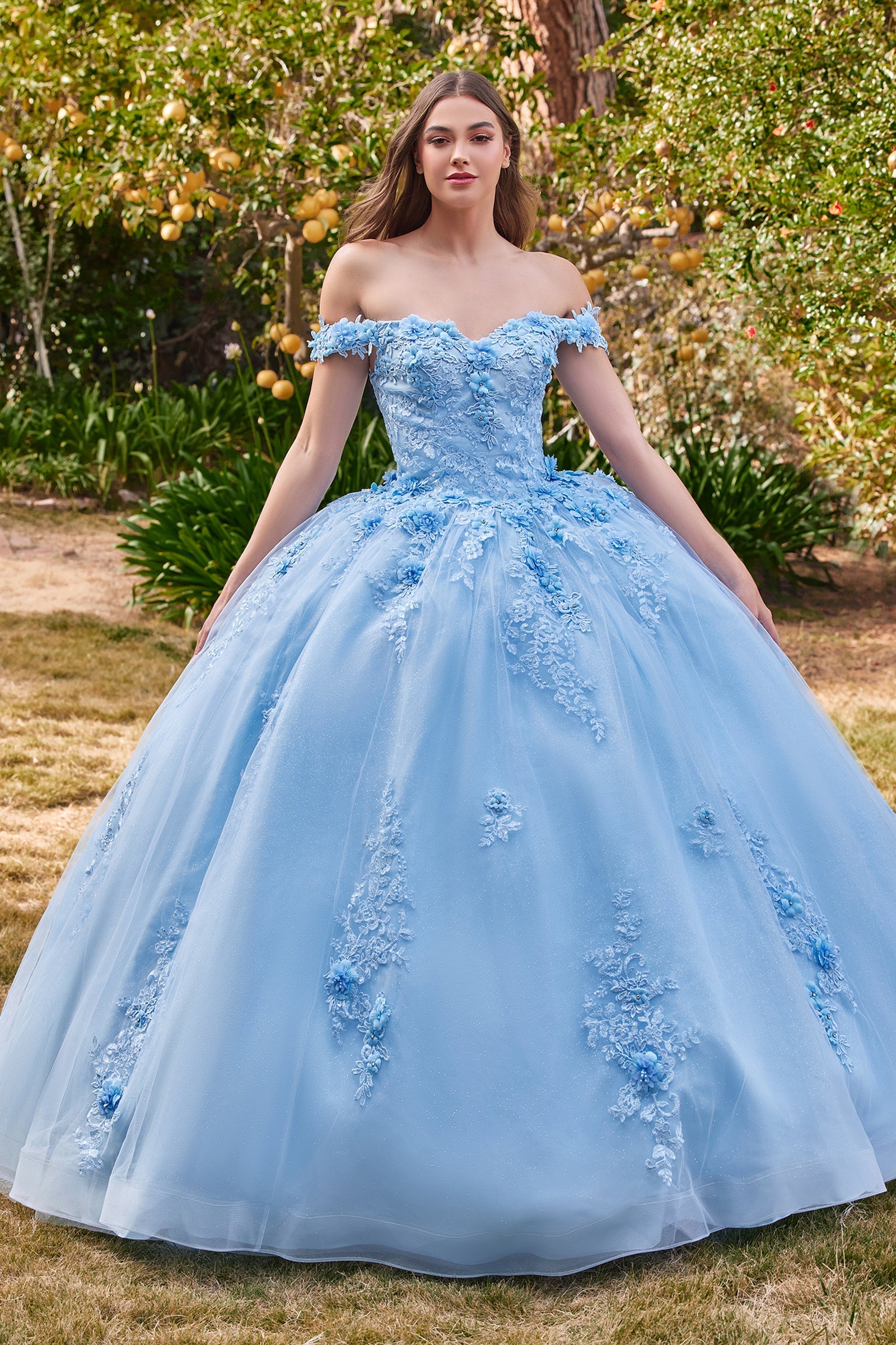 CDapplique-off-shoulder-floral-ball-gown-15702