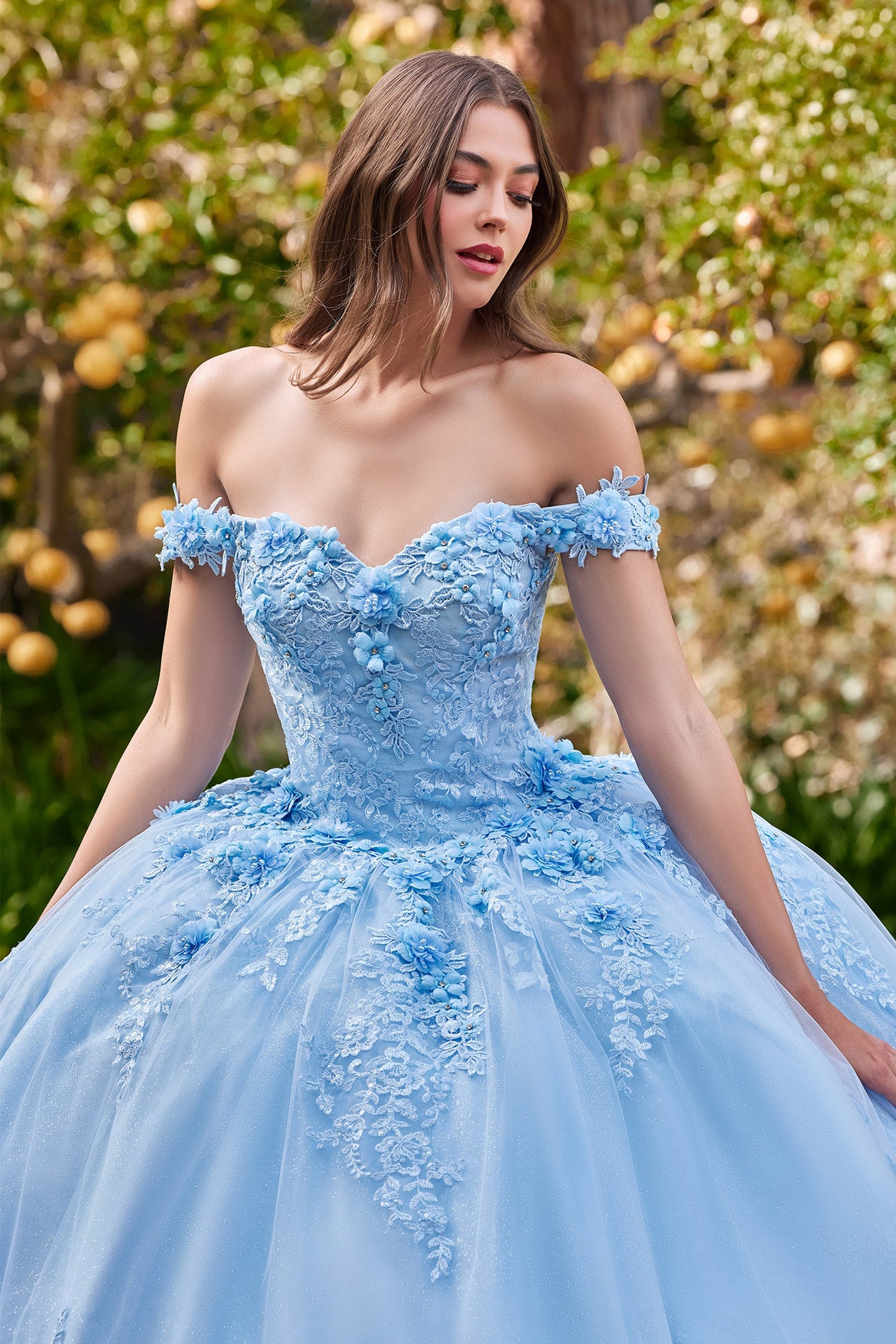 Applique Off Shoulder Floral Ball Gown 15702