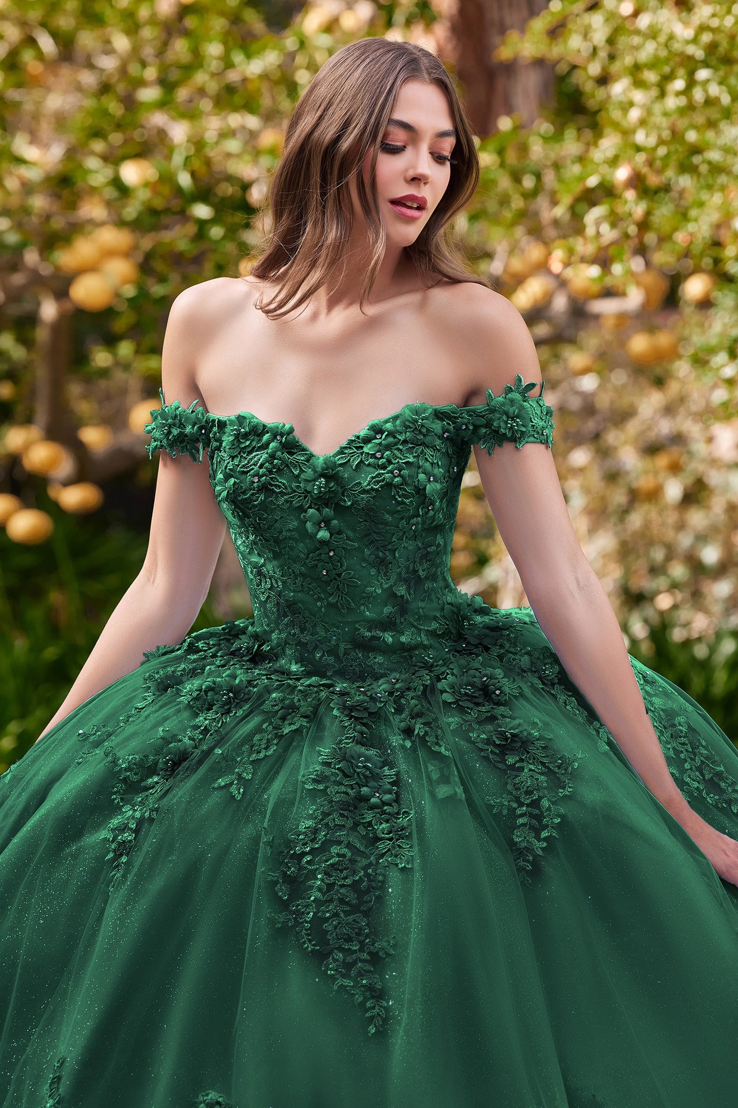 CDapplique-off-shoulder-floral-ball-gown-15702