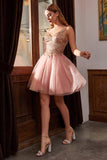 Embellished Short A-Line Tulle Dress 9239