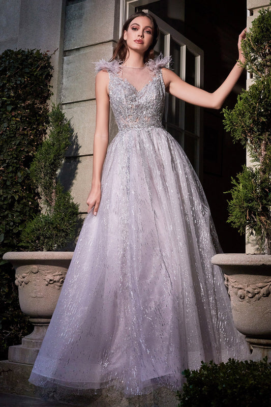 CDfeathered-shoulder-tulle-a-line-beaded-ball-gown-b704