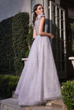 CDfeathered-shoulder-tulle-a-line-beaded-ball-gown-b704