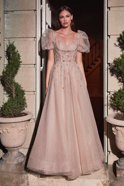 CDshort-puff-sleeve-a-line-tulle-ball-gown-b711