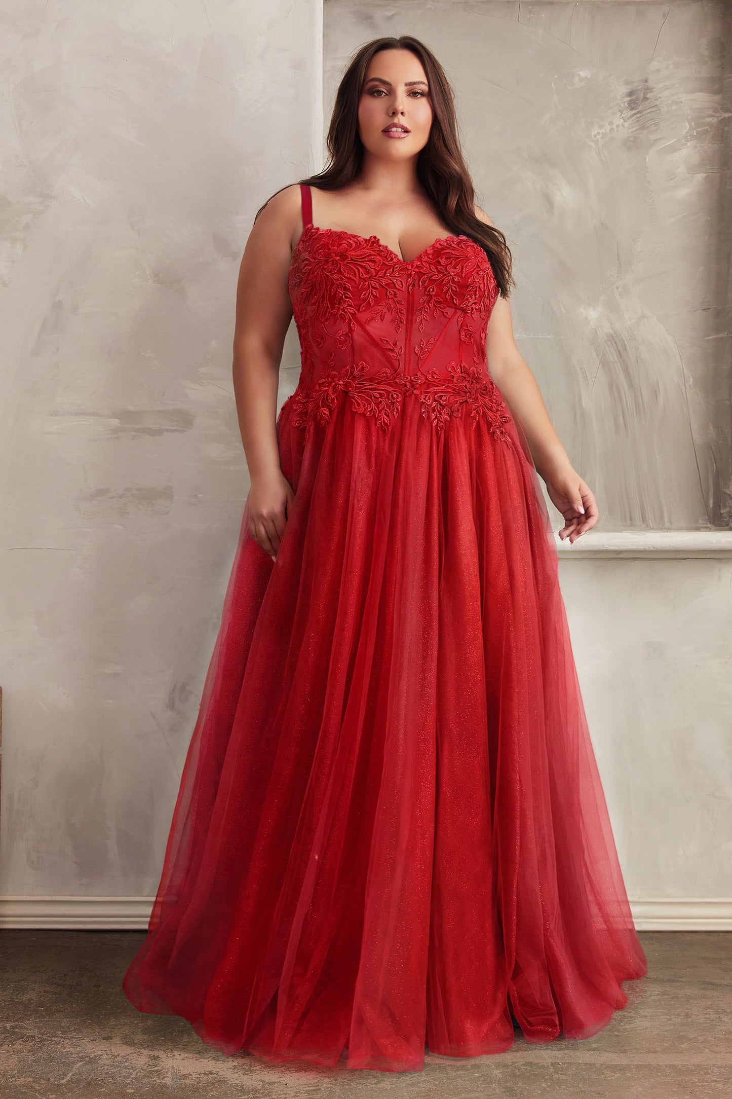 Stylish Bodice Lace Layered Tulle Gown C150