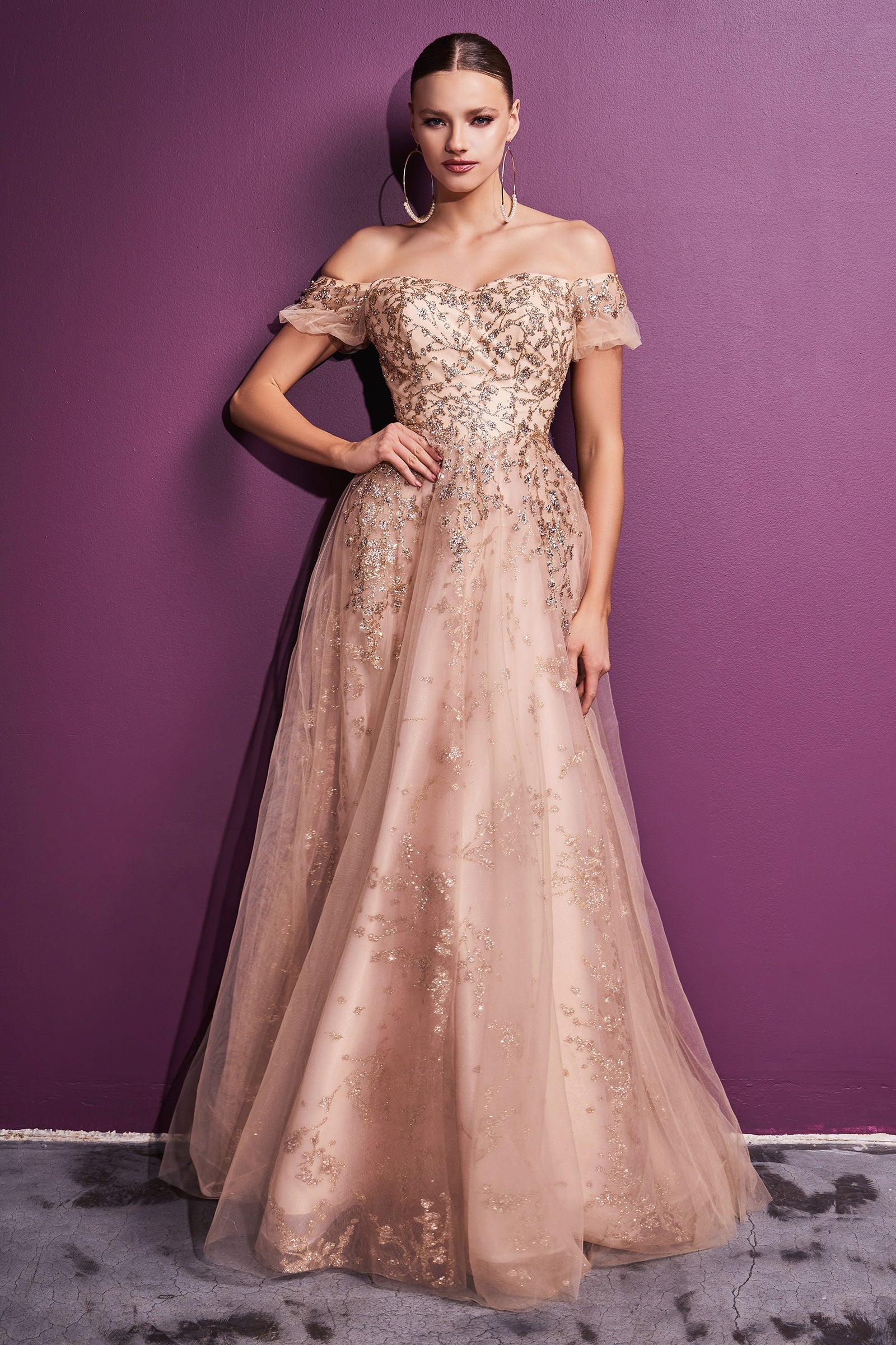 CDoff-shoulder-glitter-print-a-line-gown-c73