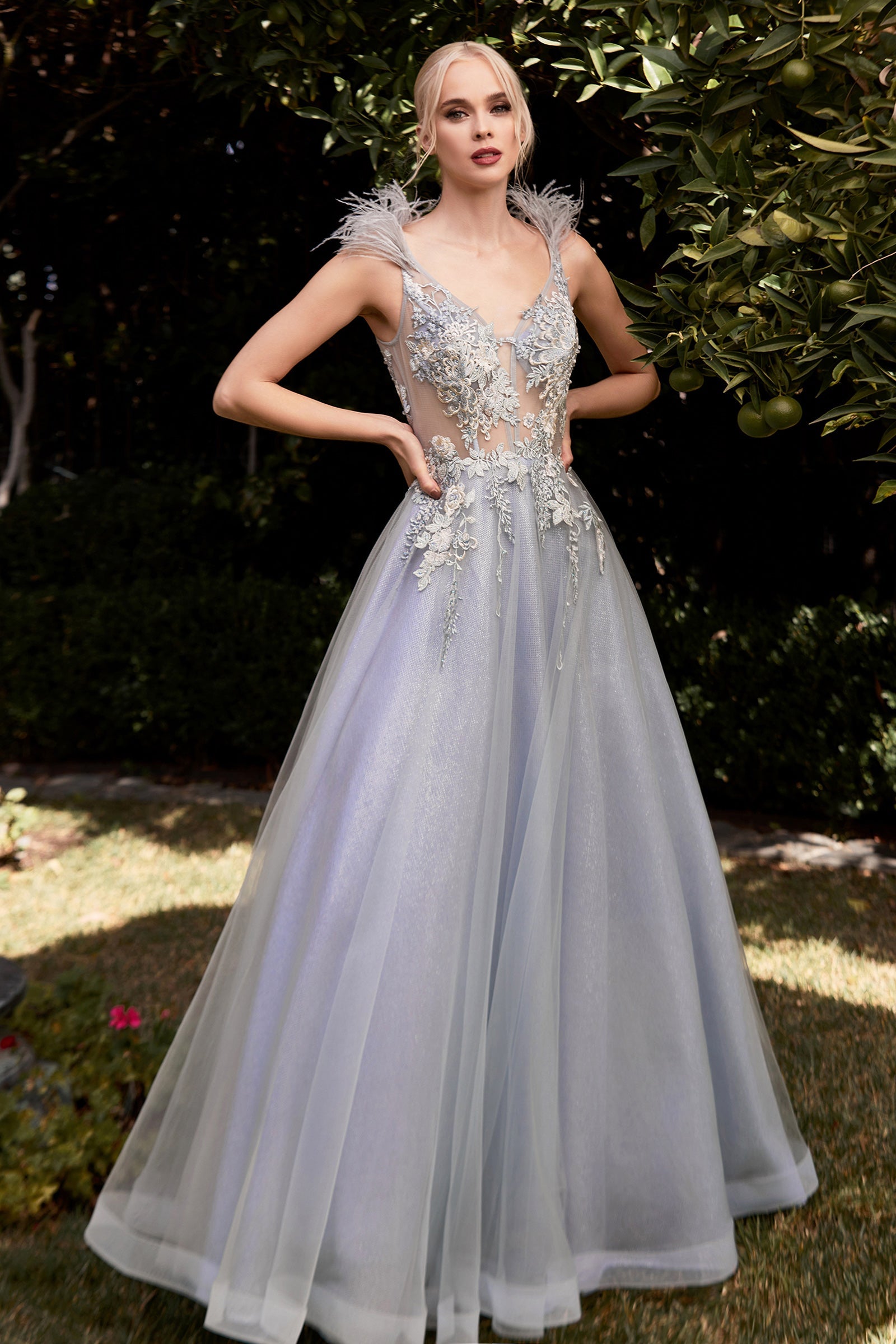 CDapplique-deep-v-neck-tulle-gown-cb091