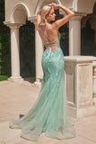 Plunging  Elegant Mermaid Evening Dress CC2253
