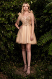 CDembellished-fitted-bodice-short-a-line-dress-cd0174