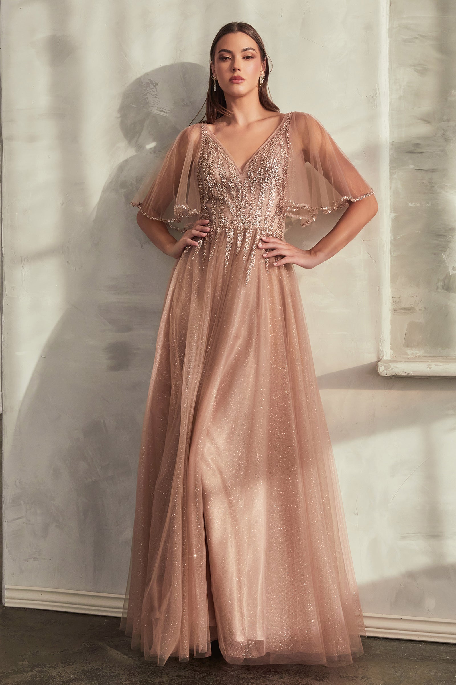 CDsheer-bell-sleeves-embellished-bodice-tulle-dress-cd0175