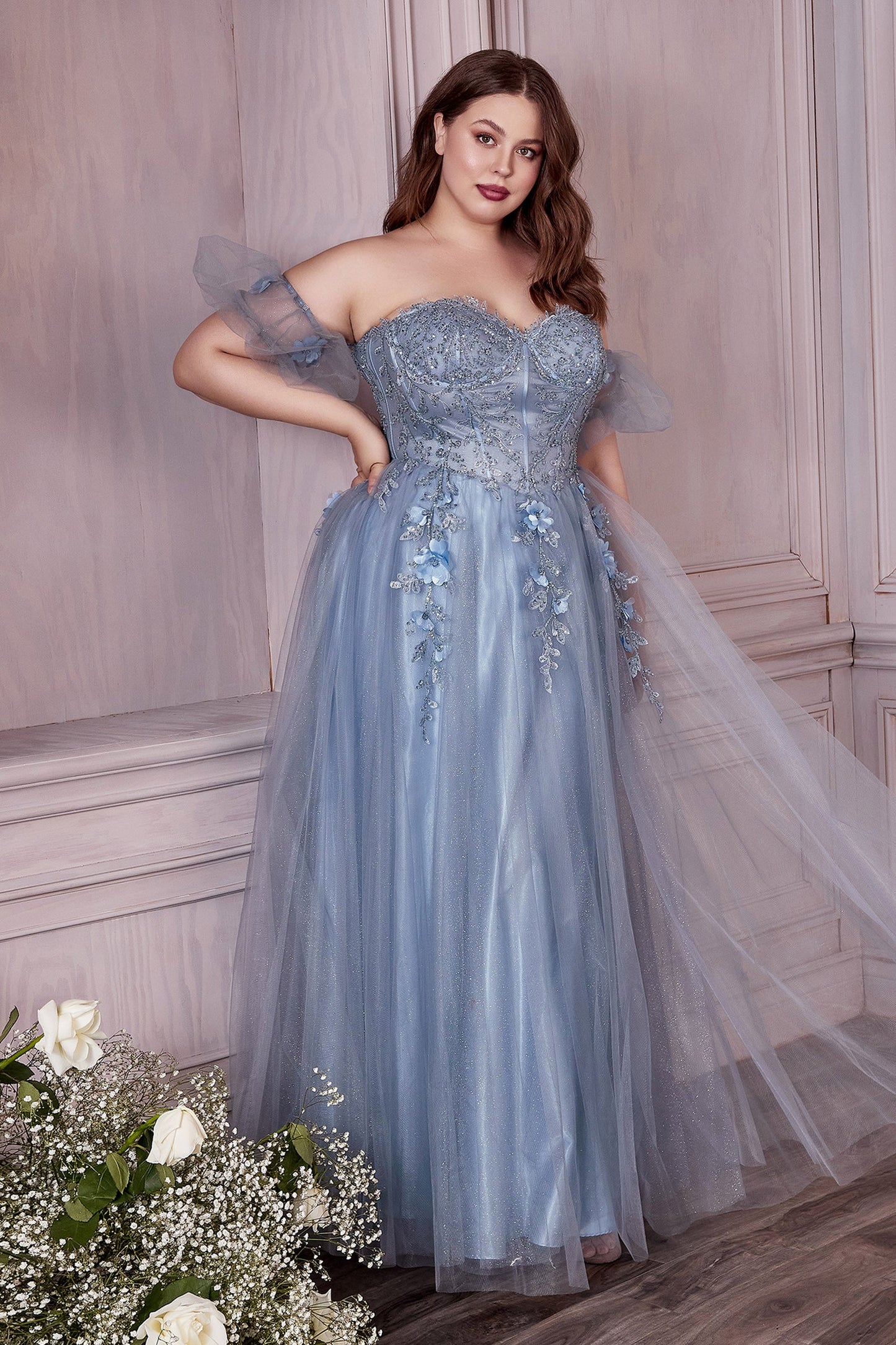 CDcorset-cap-sleeves-a-line-dress-cd0191