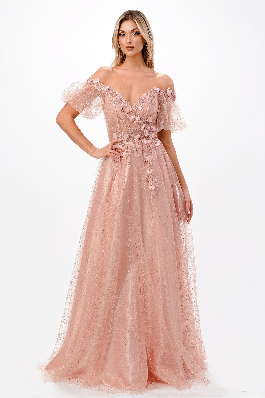 3D Floral Applique Whimsical Tulle Gown CD0197