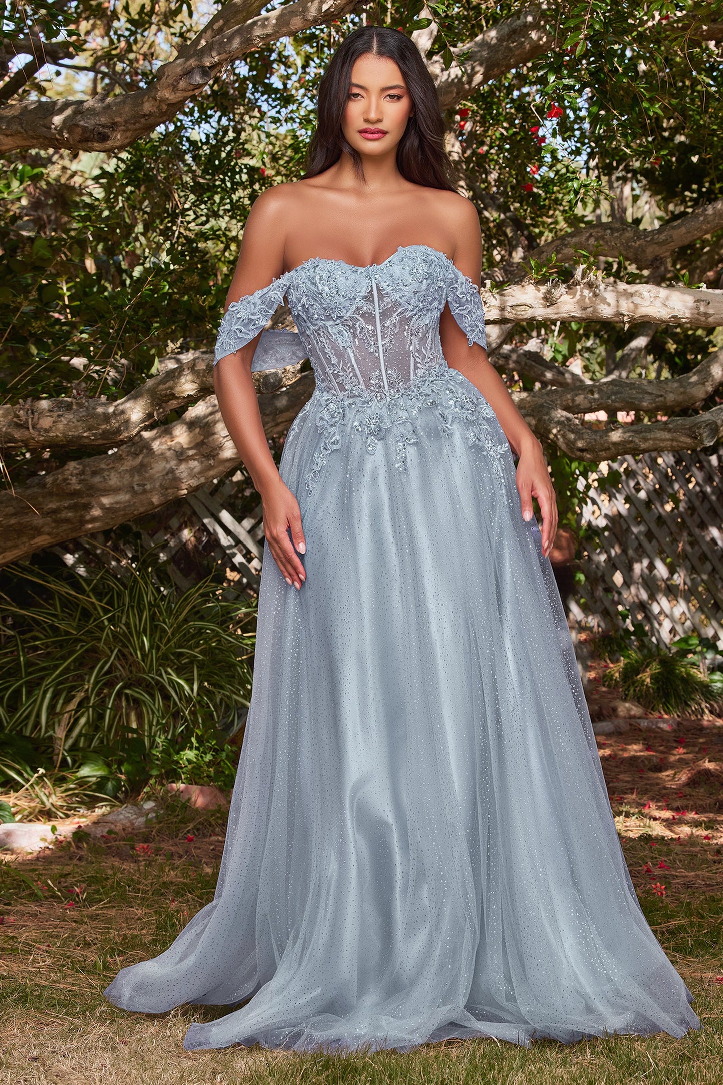 Applique Off Shoulder Tulle Gown CD0198