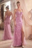 Open Back Sparkly Plunging Neckline Fitted Dress CD0220
