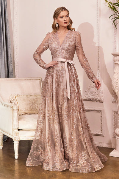 CDembellished-long-sleeve-a-line-gown-cd233
