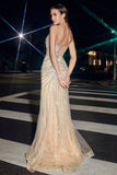 CDsparkly-stunning-fitted-embellished-gown-cd866