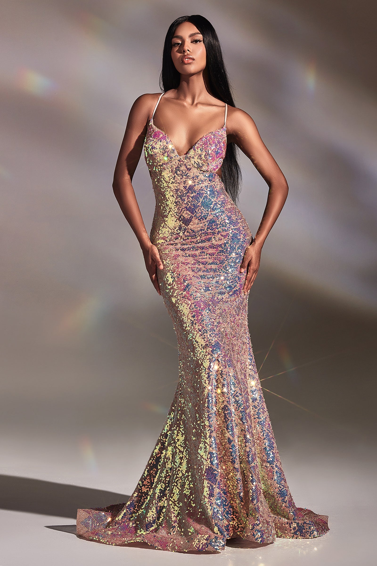 Long Fitted Iridescent Sequin Dress CD880
