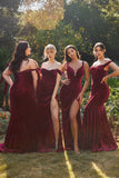 Gathered Velvet Corset Fitted Gown CD235