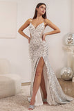 Long Fitted Sequin Print Dress CDS421