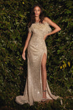 CDfeathered-bodice-long-sequin-gown-ch147