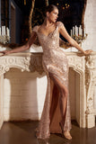 CDfitted-cap-sleeves-long-sequin-gown-ch171