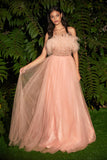 CDfeathered-a-line-tulle-ball-gown-cr864