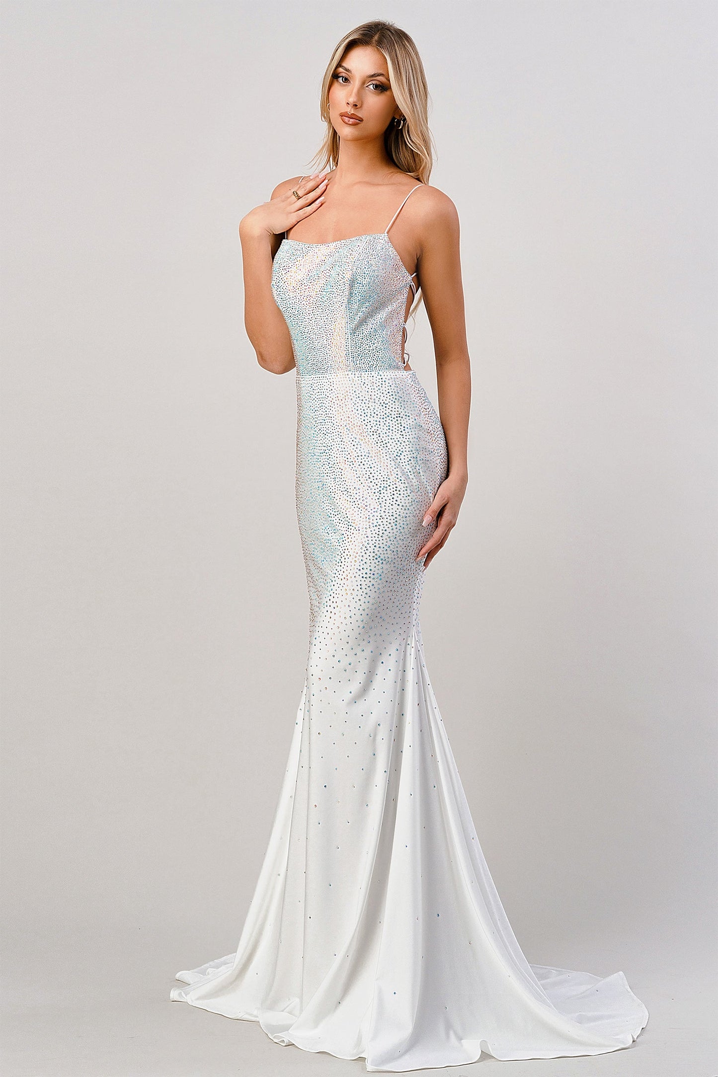 Fit and Flare Rhinestone Lace-Up Gown CD0179