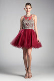 Illusion Jeweled Neckline Sleeveless Short Evening Dress UJ0119