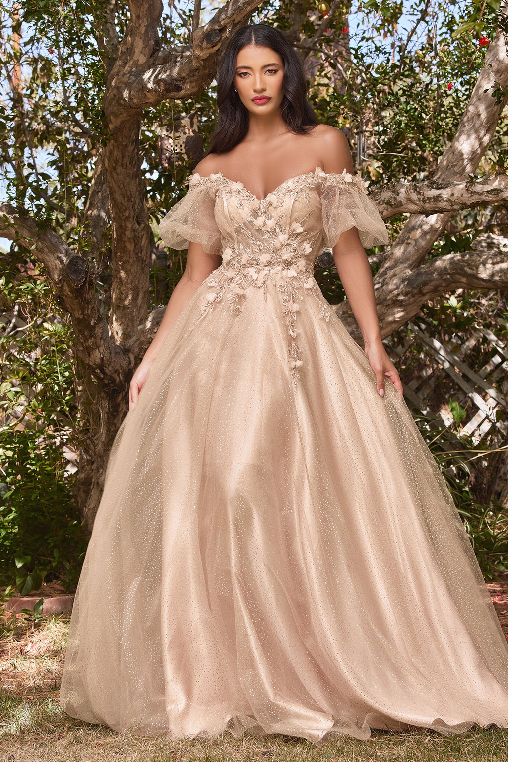 CD3d-floral-applique-whimsical-tulle-gown-cd0197