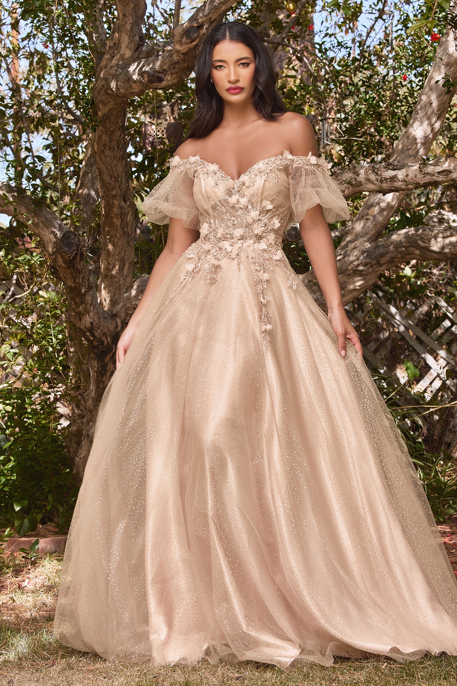 CD3d-floral-applique-whimsical-tulle-gown-cd0197