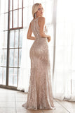 CDbeaded-lace-fitted-gown-ht074